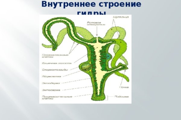 Войти в кракен