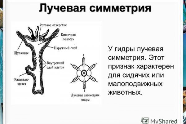 Адрес кракена