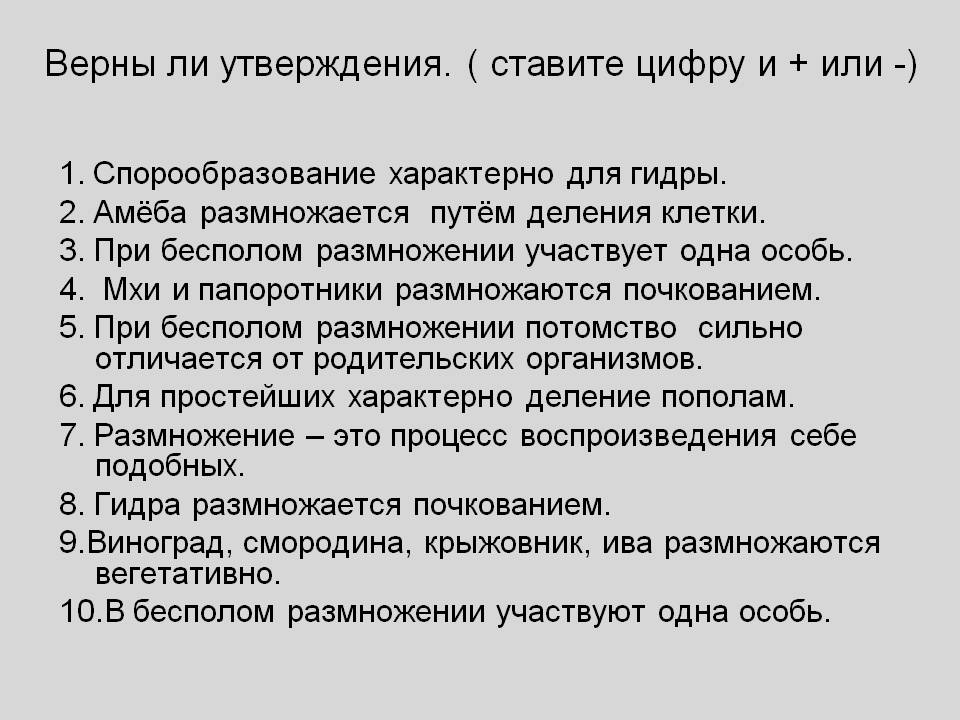 Магазины наркотиков
