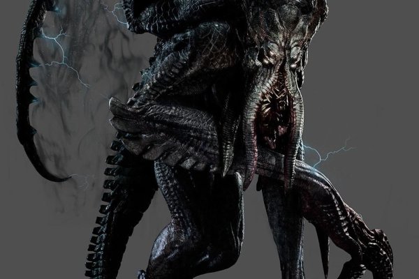 Kraken рабочий